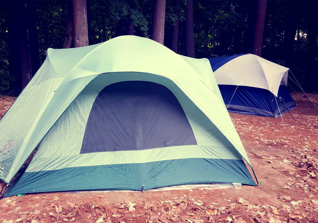 Tents pitched under the pines