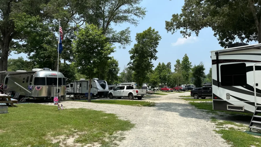 RV sites under the trees at Magnolia Lane Campground in summer